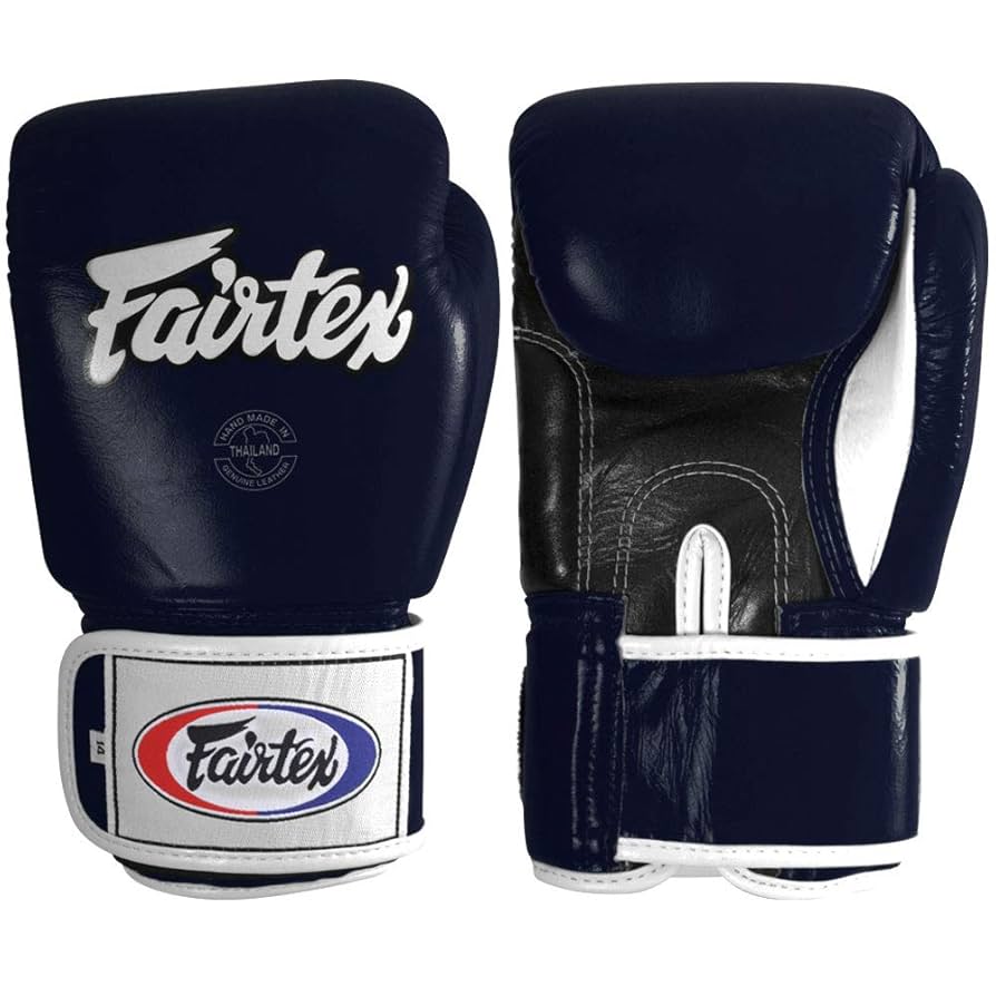 フェアテックス　グローブ　　14oz Fairtexボクシンググローブ・マジックテープ式 | グローブ